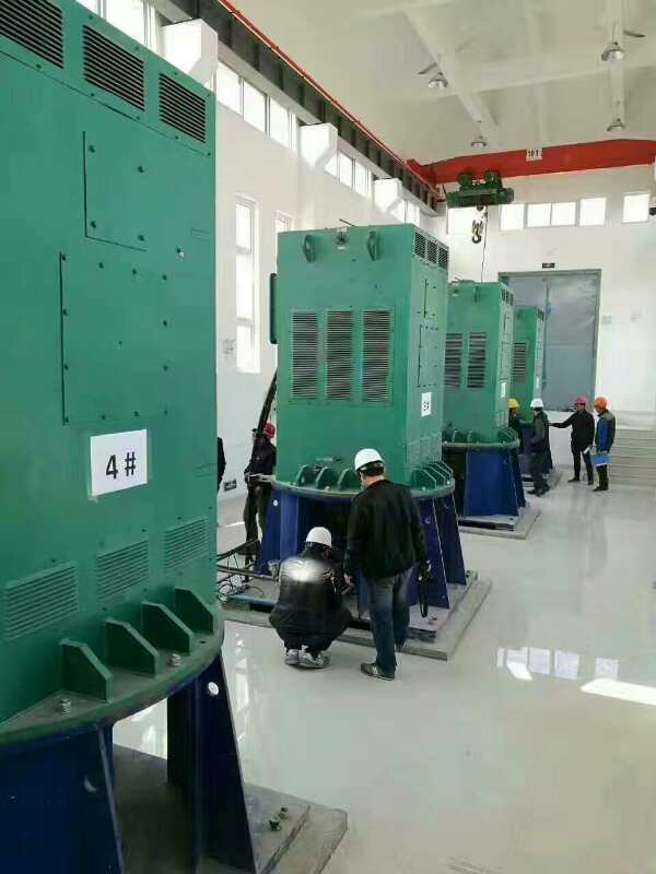 耀州某污水处理厂使用我厂的立式高压电机安装现场